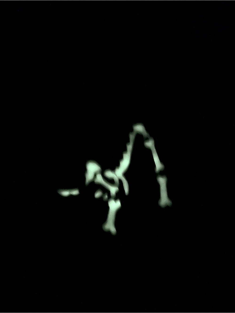 Disney Parks Howl-O-ween Pluto Skeleton Glow-in-the-dark Tie Dye T Unisex XXL - Picture 2 of 9